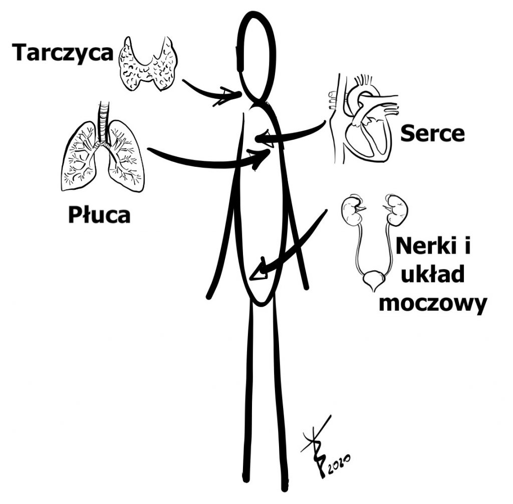 Choroby i stany towarzyszące